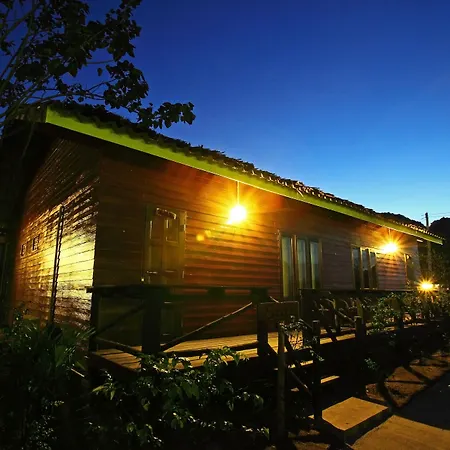 Pp Red Tuna Hut-2
