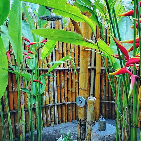 Coconut Garden Beach Resort-2