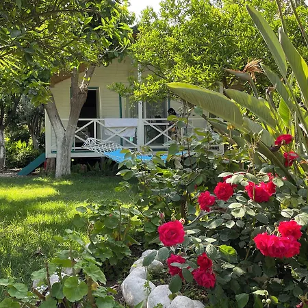 Bellerofon Beach Otel-3
