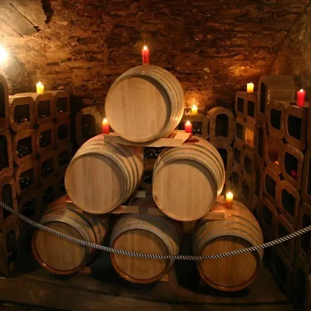 Worners Schloss Weingut & Wellness-Hotel-3