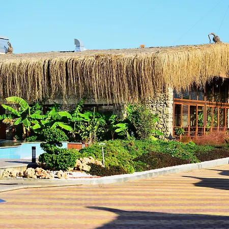 Adenya Hotel & Resort Halal All Inclusive-3