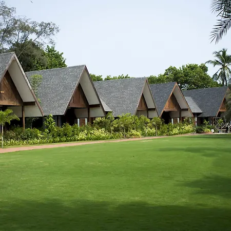W Goa-2