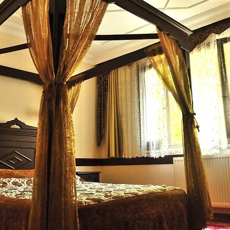 Hotel Alp Guesthouse-3