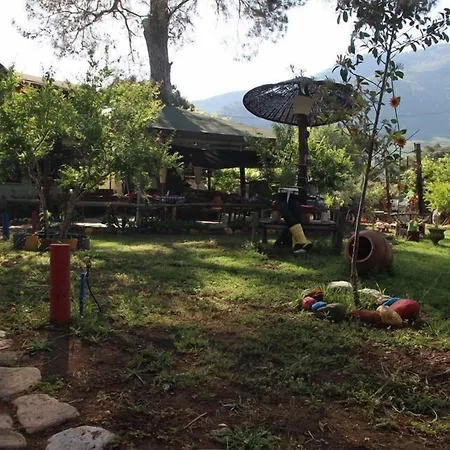 Koala Bungalows-2