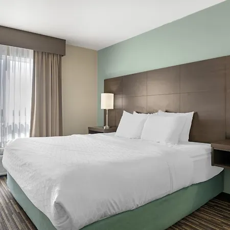 Best Western Plus Dartmouth Hotel & Suites-2