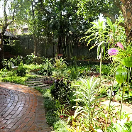 Oliveroom Self Catering And B&B-3