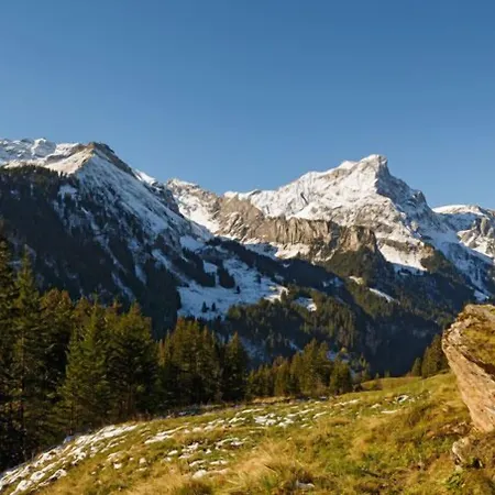 Griesalp Hotels-3