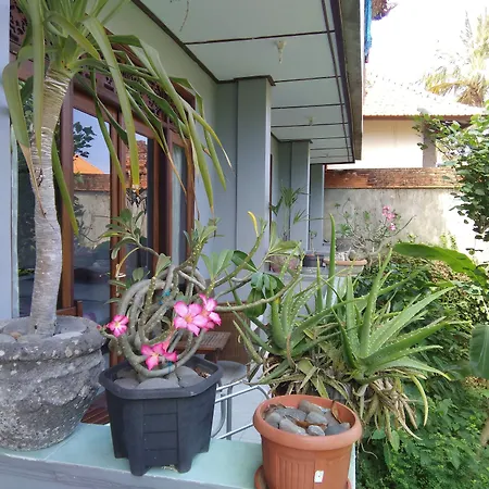 Celagi Inn-3