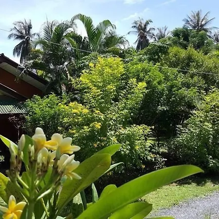 Happy Resort-2