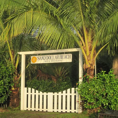 Sand Dollar Beach Bed&Breakfast-3