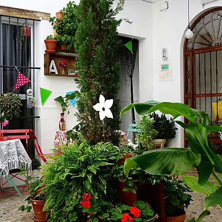 Casa De Huespedes Santa Maria (Adults Only)-2