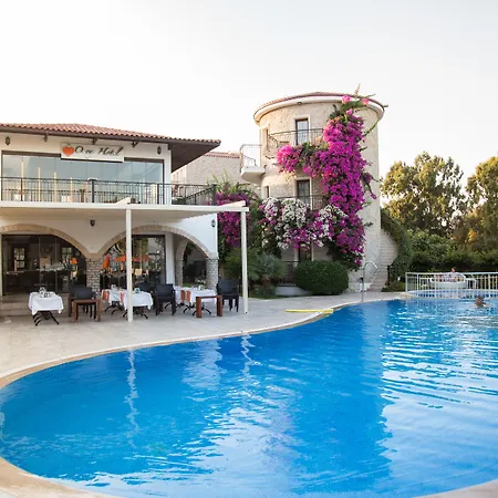 Orcey Hotel-2