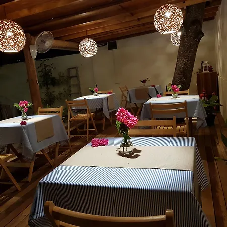 Coco Villa-3