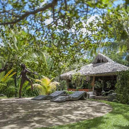 Toca Da Coruja - Eco Luxury Retreat-2