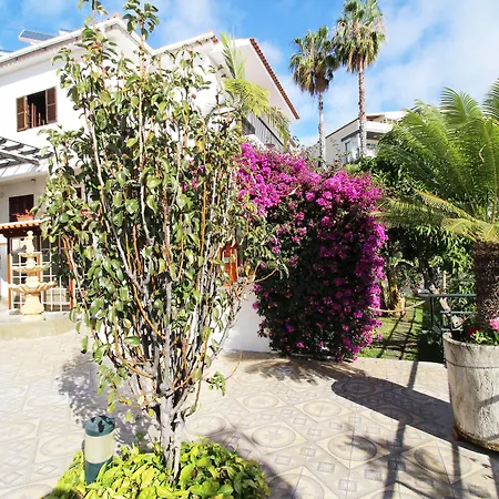 Guesthouse Vila Lusitania-3