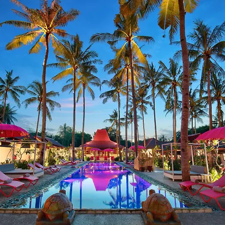 Pinkcoco Gili Air - Constant Surprises & For Cool Adults Only-3