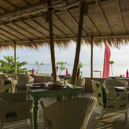 Pinkcoco Gili Air - Constant Surprises & For Cool Adults Only-2