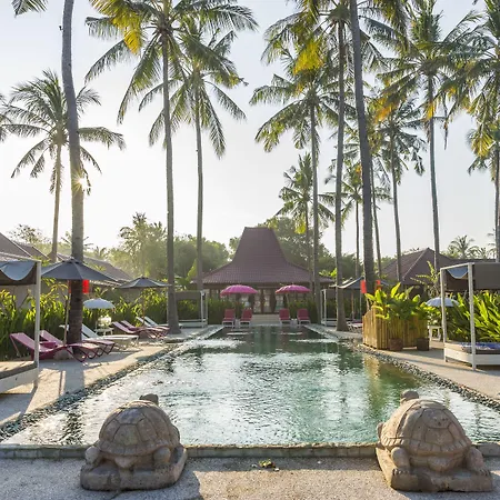 Pinkcoco Gili Air - Constant Surprises & For Cool Adults Only-3