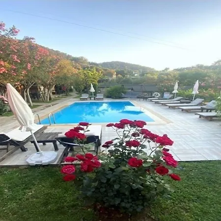 Montenegro Motel-3