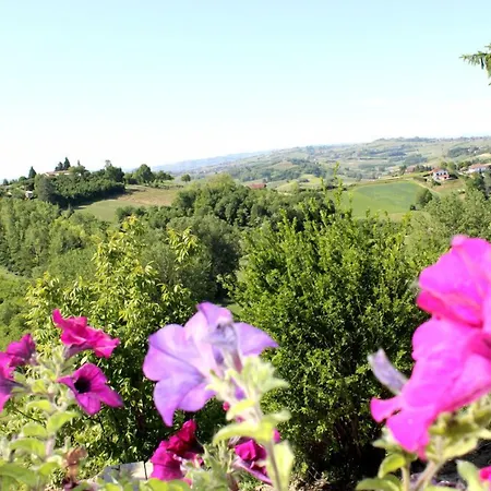 Alta Villa The Countryhouse Adults Only Boutique Bnb-3