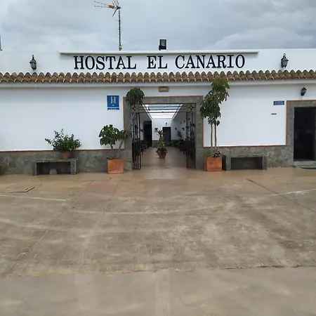 Hostal El Canario-2