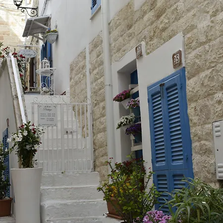 B&B Prestige-2