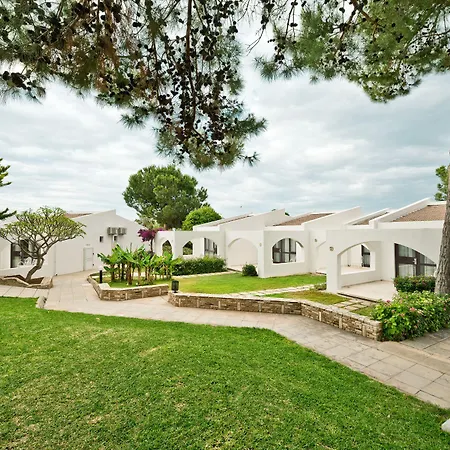 The Olive Tree Hotel-3