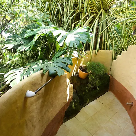 Ylang Ylang Beach Resort-2