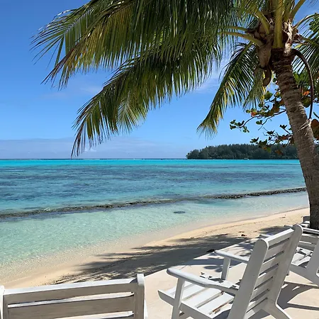 Moorea Island Beach Hotel-2