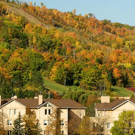 Blue Mountain Resort Home Collection-2