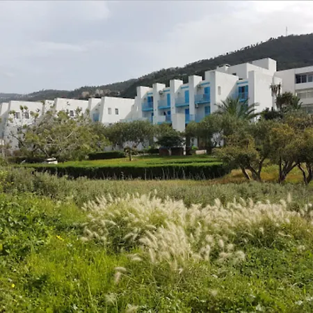 Les Hammadites-2