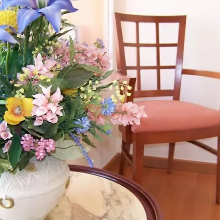 Hotel Mayna-3