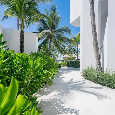 La Vida Samui-2