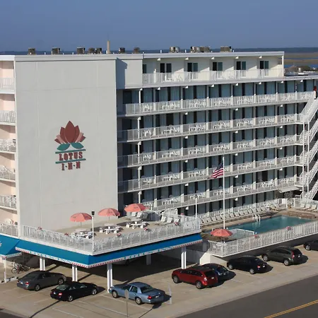 Lotus Inn-3