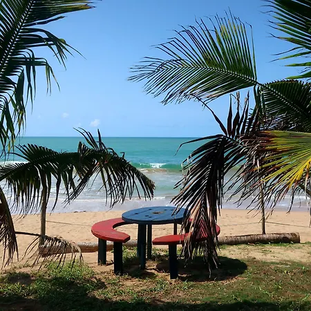 Afro Beach Eco Resort Butre-3