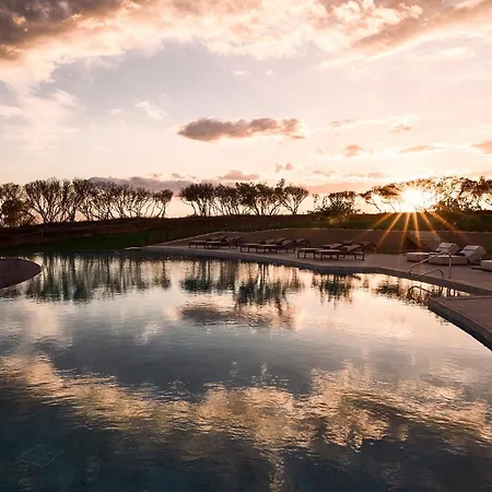 Zelia Halkidiki, Part Of Destination By Hyatt - Adults Only-2