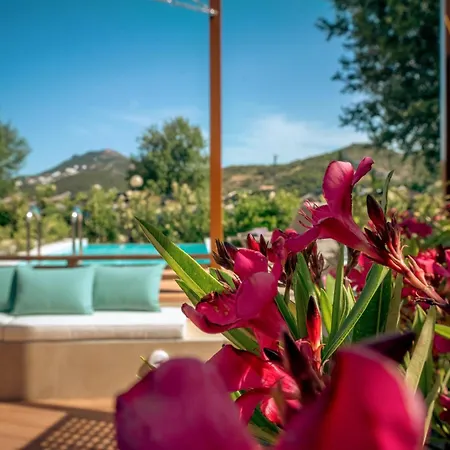 Zeus Dolce By Wyndham Athens-3