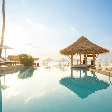 Al'S Resort-2