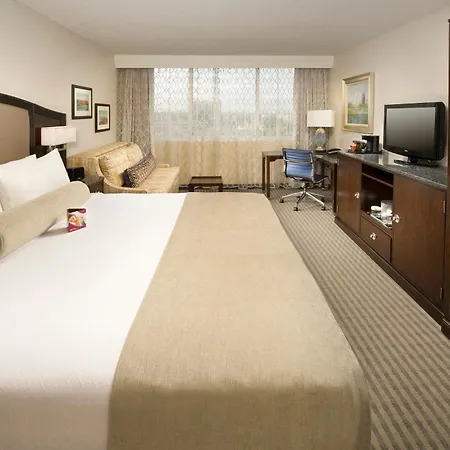 Skybridge Seattle Airport Hotel-3