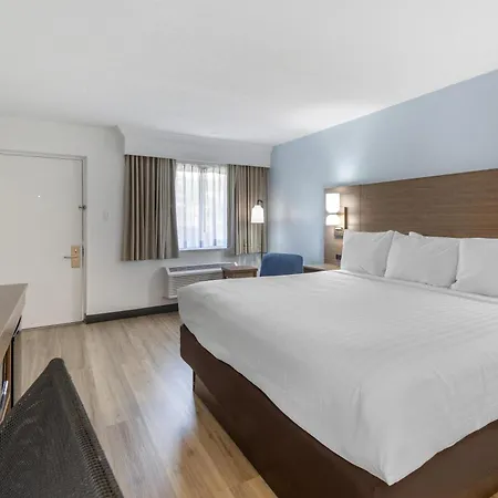 Best Western Palm Beach Lakes-2