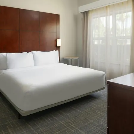 Residence Inn By Marriot Clearwater Downtown-2