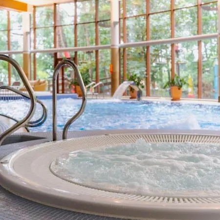 Hotel Dom Zdrojowy Resort & Spa - Destigo Hotels-2