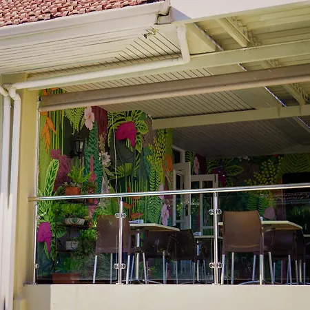 Sundown Manor Guest House-3