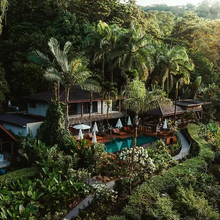 Oxygen Jungle Villas & Spa (Adults Only)-3