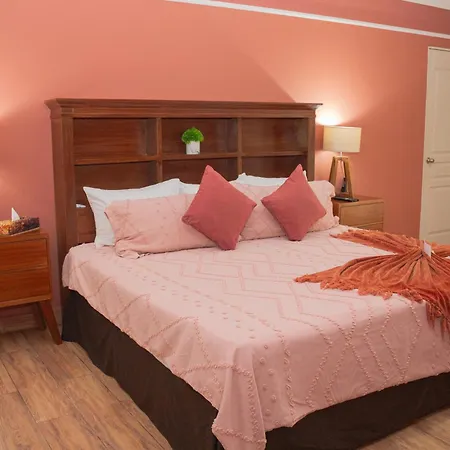 Nk Hotel Nekié Tepic-3