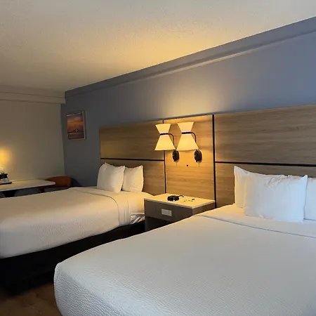 La Quinta By Wyndham St Petersburg-Clearwater-2