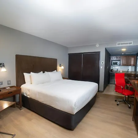 Four Points By Sheraton Saltillo-2