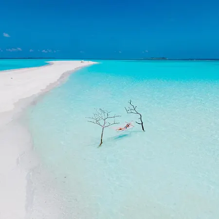 Fushifaru Maldives: Exclusive Discount on Transfers for Extended Stays-2