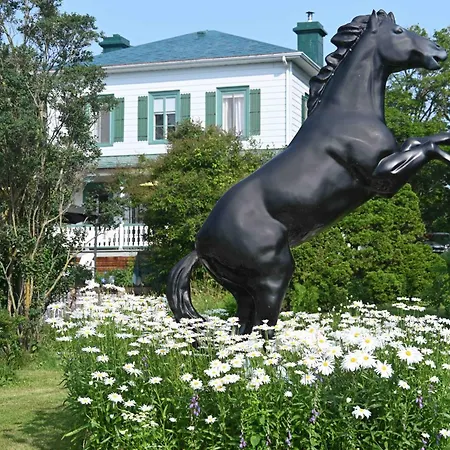 La Maison De L'Ile D'Orleans - B&B - Dejeuner Gastronomique-3