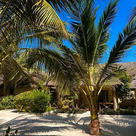 Moayana Liora Zanzibar-3